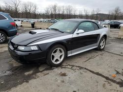 Vehiculos salvage en venta de Copart Marlboro, NY: 2000 Ford Mustang GT