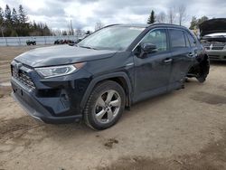 Toyota Rav4 salvage cars for sale: 2020 Toyota Rav4 Limited