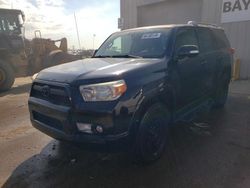 Toyota 4runner salvage cars for sale: 2012 Toyota 4runner SR5