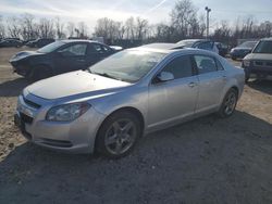 Chevrolet Malibu 1LT salvage cars for sale: 2009 Chevrolet Malibu 1LT