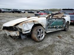 Salvage cars for sale at Spartanburg, SC auction: 1997 Ford Mustang Cobra