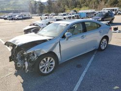 Lexus ES300 salvage cars for sale: 2014 Lexus ES 300H