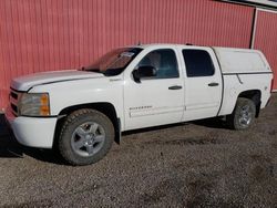 Salvage cars for sale from Copart London, ON: 2011 Chevrolet Silverado C1500 Hybrid