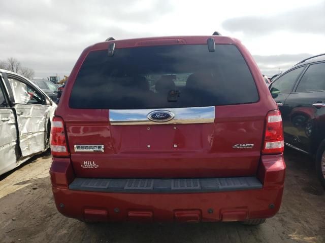 2008 Ford Escape Limited