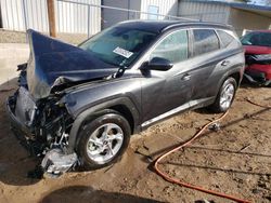 Salvage cars for sale at Albuquerque, NM auction: 2024 Hyundai Tucson SEL