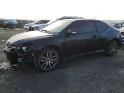 Scion salvage cars for sale: 2015 Scion TC