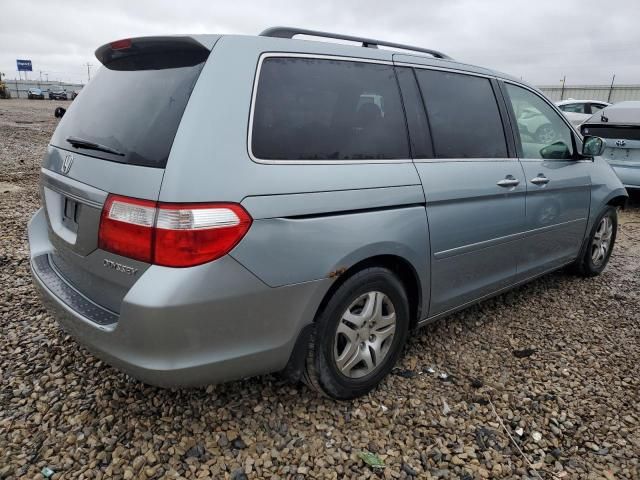 2005 Honda Odyssey EXL