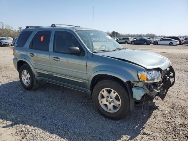 2006 Ford Escape Limited