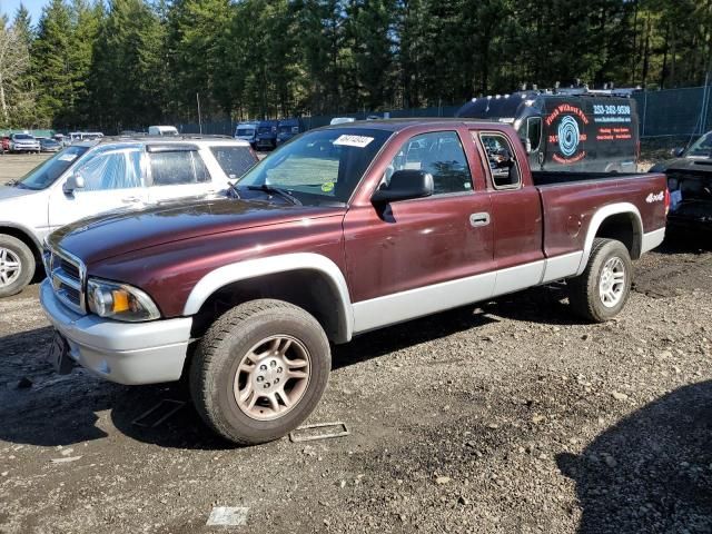 2004 Dodge Dakota SLT