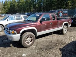 2004 Dodge Dakota SLT for sale in Graham, WA