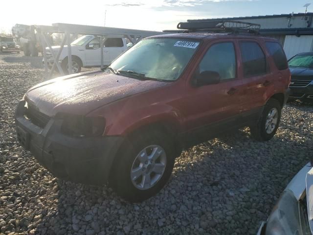 2005 Ford Escape XLT