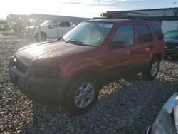 Ford salvage cars for sale: 2005 Ford Escape XLT