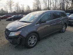 Honda salvage cars for sale: 2013 Honda Odyssey EXL