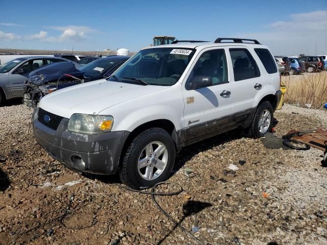 2007 Ford Escape HEV