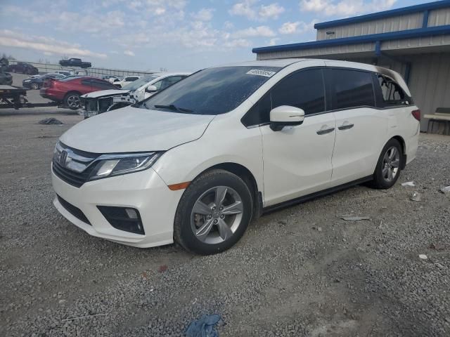 2020 Honda Odyssey EXL