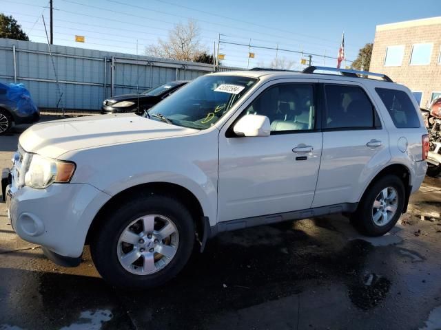 2009 Ford Escape Limited