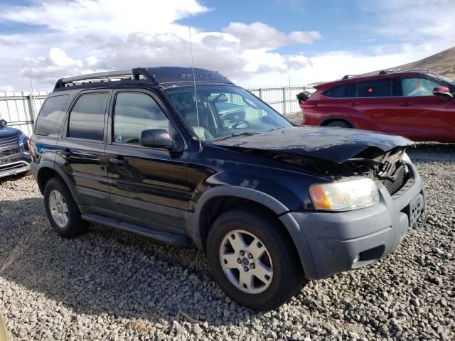 2004 Ford Escape XLT