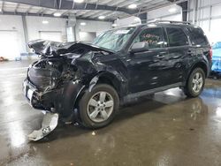 Salvage cars for sale at Ham Lake, MN auction: 2011 Ford Escape XLT