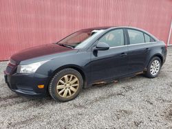 Chevrolet salvage cars for sale: 2011 Chevrolet Cruze LT