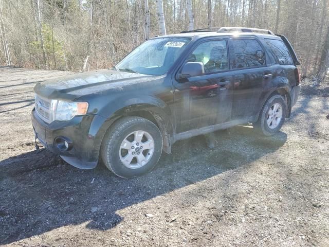 2012 Ford Escape XLT