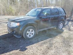 Salvage cars for sale from Copart Bowmanville, ON: 2012 Ford Escape XLT