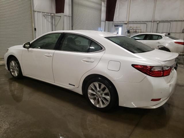 2014 Lexus ES 300H