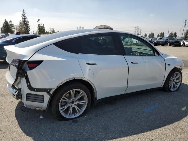 2020 Tesla Model Y