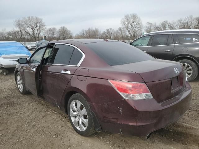 2010 Honda Accord EXL