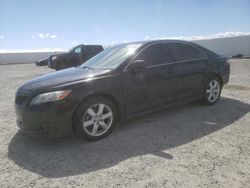 Toyota Camry salvage cars for sale: 2008 Toyota Camry CE