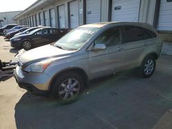 Salvage cars for sale from Copart Louisville, KY: 2009 Honda CR-V EXL