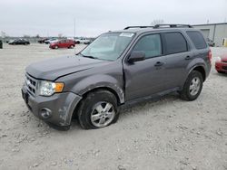 Salvage cars for sale at Kansas City, KS auction: 2011 Ford Escape XLT