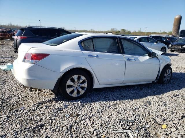 2009 Honda Accord EXL