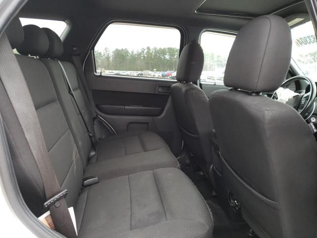 2009 Ford Escape XLT