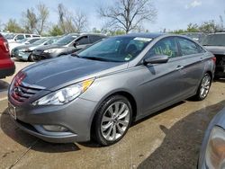 Hyundai Vehiculos salvage en venta: 2013 Hyundai Sonata SE