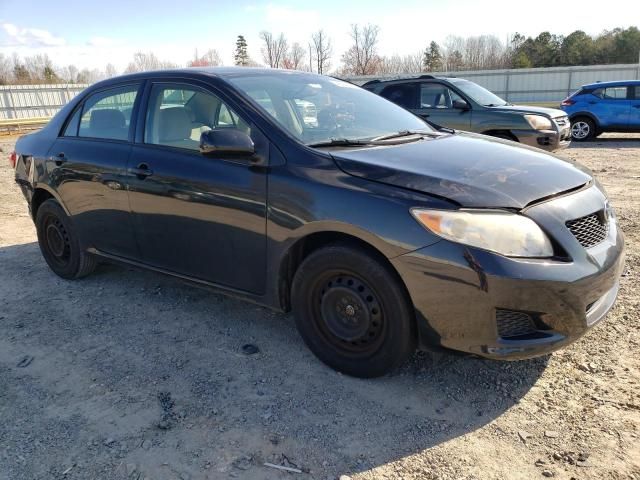 2010 Toyota Corolla Base