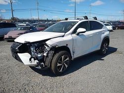 Lexus NX Vehiculos salvage en venta: 2021 Lexus NX 300 Base