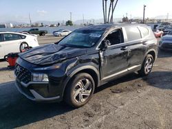 Hyundai Santa fe salvage cars for sale: 2023 Hyundai Santa FE SE