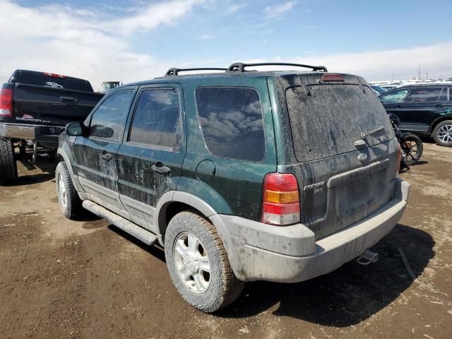 2001 Ford Escape XLT