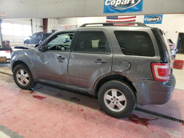 2011 Ford Escape XLT