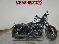 Salvage motorcycles for sale at Dallas, TX auction: 2020 Harley-Davidson XL883 N