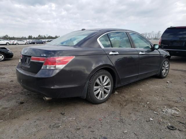 2011 Honda Accord EXL