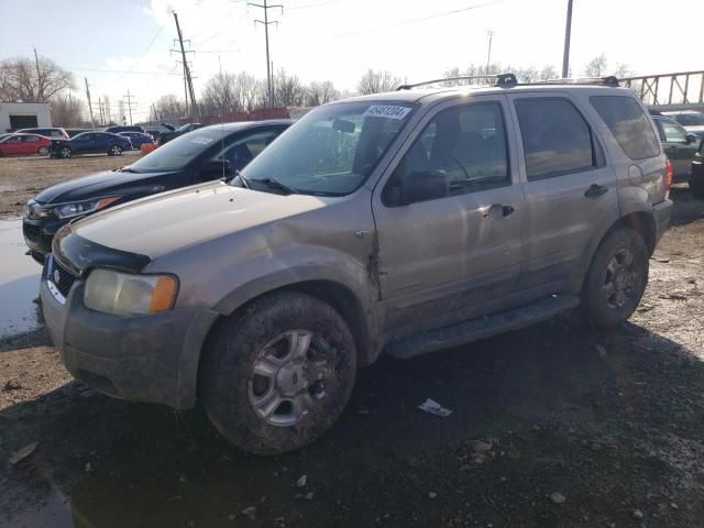 2001 Ford Escape XLT