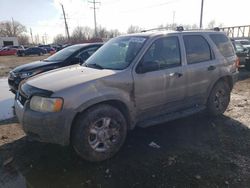 Salvage cars for sale from Copart Columbus, OH: 2001 Ford Escape XLT