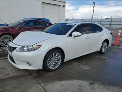 Salvage cars for sale at Farr West, UT auction: 2013 Lexus ES 350