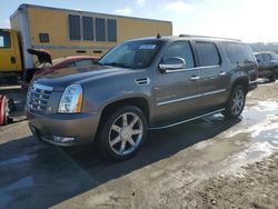 Salvage cars for sale at Cahokia Heights, IL auction: 2011 Cadillac Escalade ESV Luxury