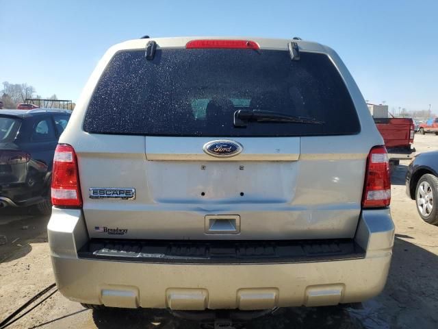 2010 Ford Escape XLT