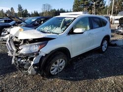 Salvage cars for sale from Copart Graham, WA: 2014 Honda CR-V EX