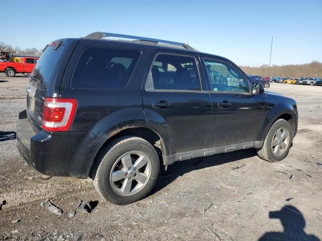 2012 Ford Escape Limited