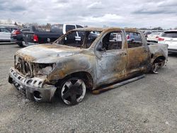 Salvage cars for sale at Antelope, CA auction: 2010 Toyota Tundra Crewmax SR5