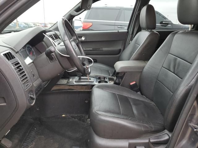 2010 Ford Escape Limited